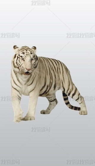 ؈ϼ׻{ӈDƬ͸⓸PNGDƬز