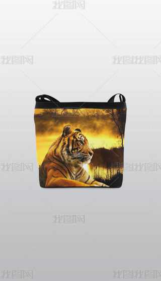 ؈؈{ϼ׻͸⓸PNGDƬز