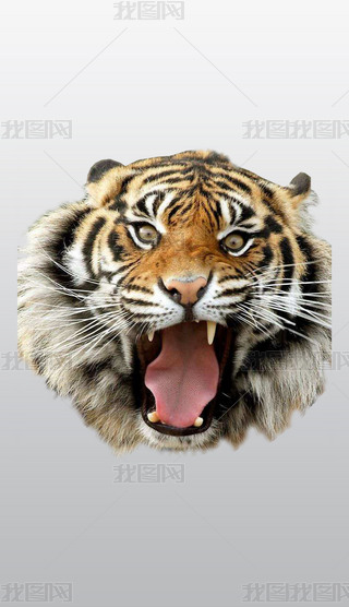 yʽW(wng)j(lu)Dϼɫϻ͸PNGز