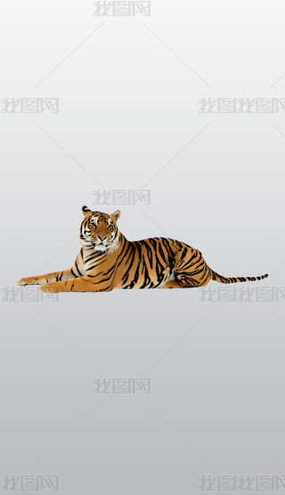 {؈ϻoĿϼ͸⓸PNGز