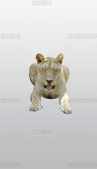 |Ǫ{ϻҸ͸⓸PNGDƬز