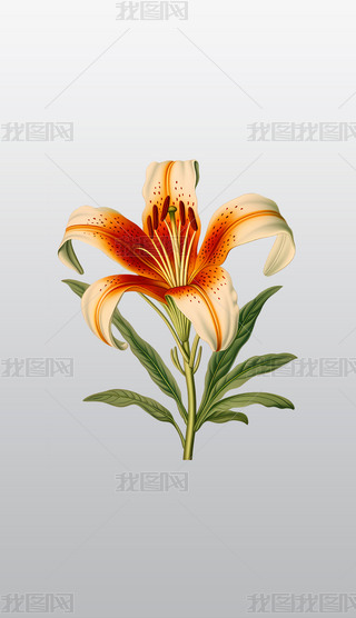 挍(sh)ĳɫϻٺϲ宋͸⓸PNGDƬز