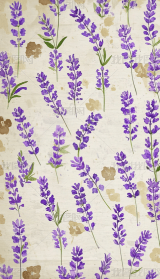 (f)ˮL޹²ӡ֙C(j)ڼ (3)