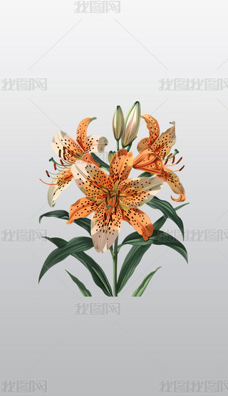 аc(din)ĳɫٺֲˇg(sh)Ʒ͸⓸pngز