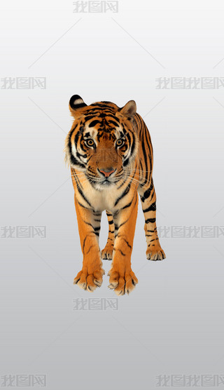 ϼ{Ӱ׻͸⓸pngDƬز