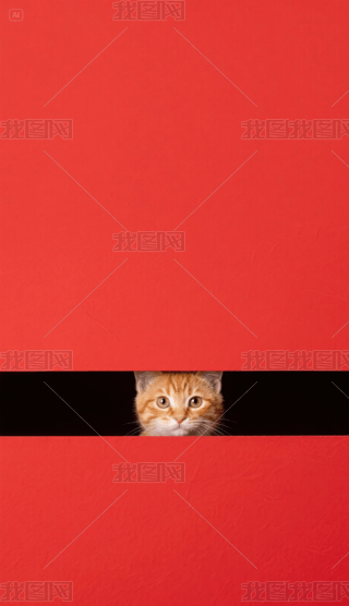 һֻɐ۵С؈֙C(j)ڼ (1)