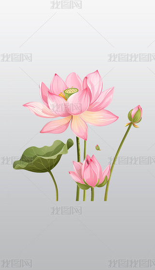 µķɫɏ宋͸⓸pngDƬز