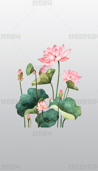 ɫɏG~宋͸⓸pngDƬز