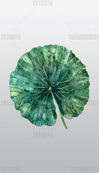 ˮɏ~ˇg(sh)͸⓸pngDƬز