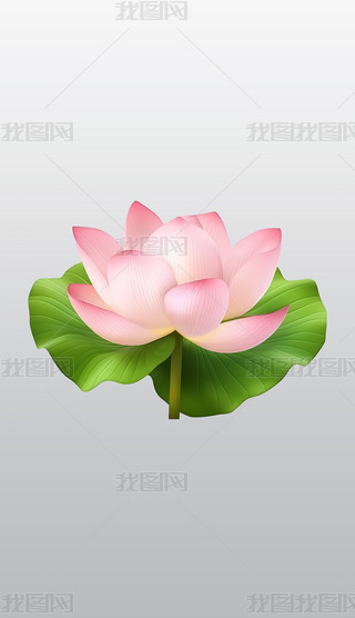 ķɫɏG~͸⓸pngDƬز