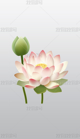 лٵİɫɏ宋͸⓸pngDƬز