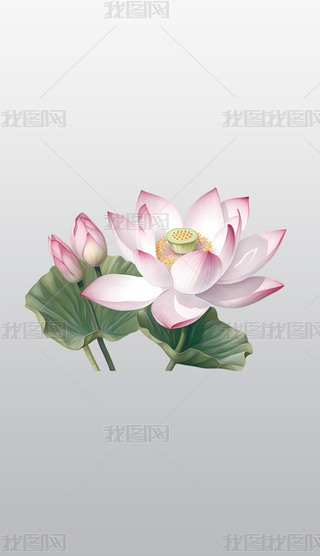 ķɫɏ~Ӹ͸⓸pngDƬز