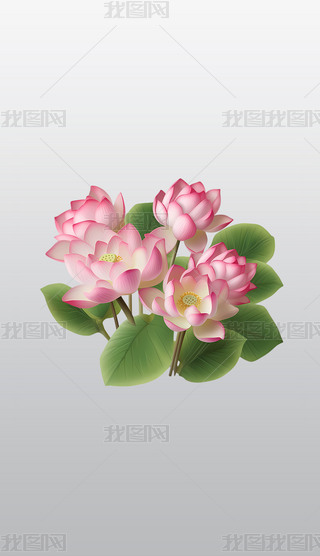 ķɫɏG~͸⓸pngDƬز