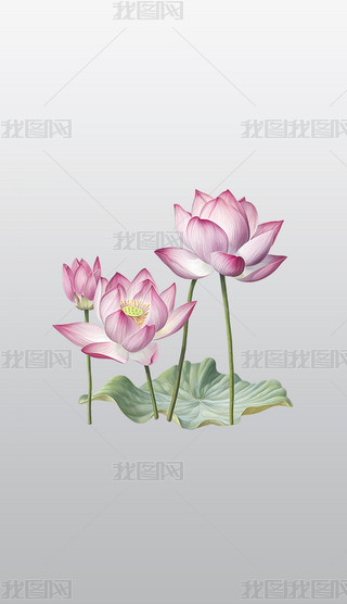 ɫɏ~Ӹ͸⓸pngDƬز