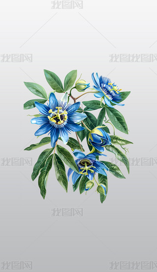 {ɫɏ~Ӹ⓸͸pngDƬز