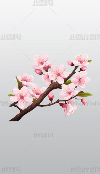 ѻ֦ʢ_⓸͸pngDƬز