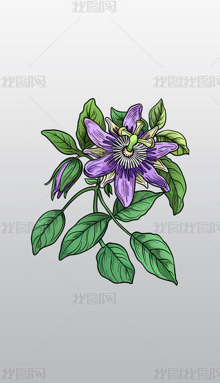 ɏֲ宋⓸͸pngDƬز