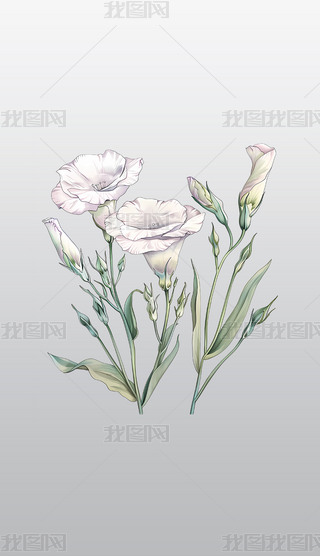 ɫʢ_лٸ⓸͸pngDƬز