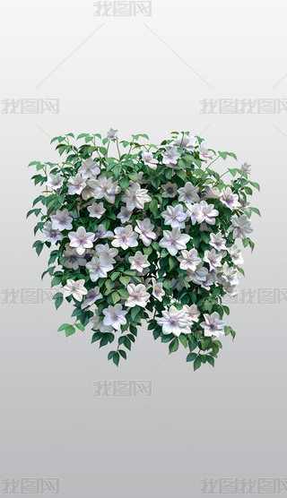 @аɫʢ_⓸͸pngDƬز