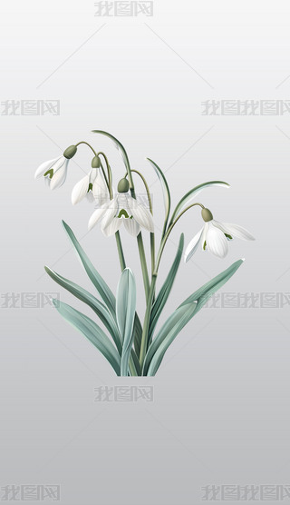 µѩɏ݈D⓸͸pngDƬز