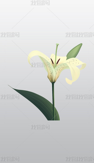 оG~ɫٺϻ宋⓸͸pngDƬز