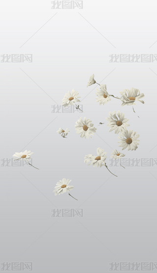 ɫrƯڿи⓸͸pngDƬز