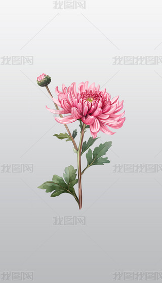 ɫջ宋⓸͸pngDƬز