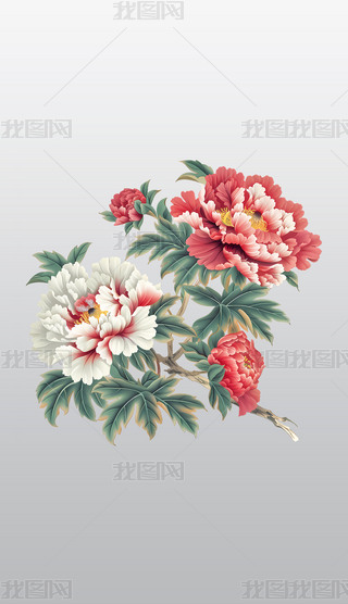 tɫͰɫʢ_(ki)⓸͸pngDƬز