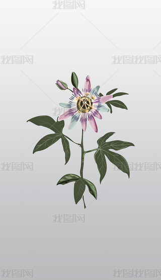 ɏֲ宋⓸͸pngDƬز