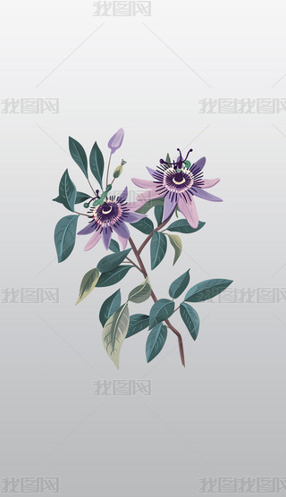 ɫɏֲ宋⓸͸pngDƬز