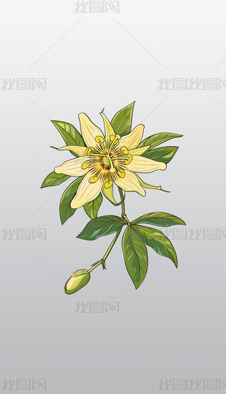 Sɫɏֲ宋⓸͸pngDƬز