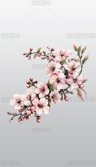 ɫęѻ֦⓸͸pngDƬز