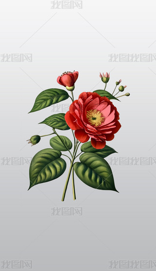 оG~tʢ_宋⓸͸pngDƬز