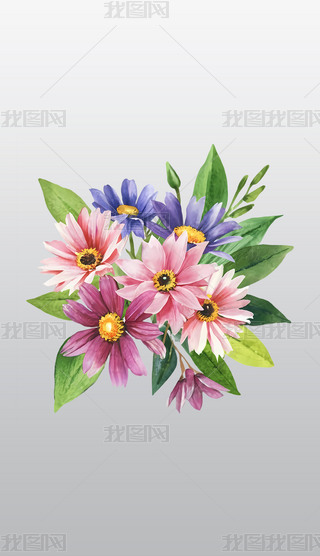 ʵʢ_Ļ仨⓸͸pngDƬز