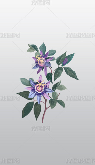 ɫɏֲ宋⓸͸pngDƬز