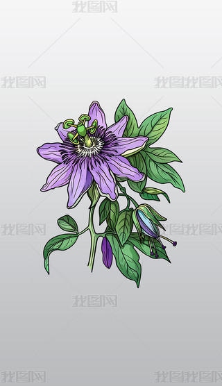 ɫɏоG~⓸͸pngDƬز