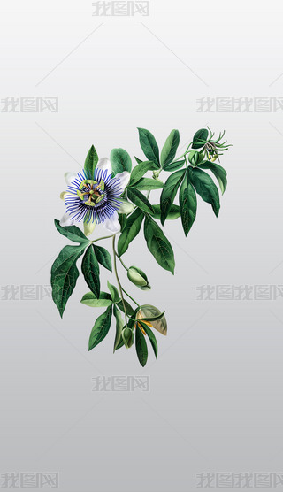 оG~ɏֲ⓸͸pngDƬز