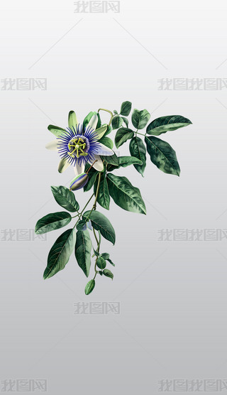 ɏֲ宋⓸͸pngDƬز