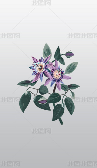 ɫɏֲ宋⓸͸pngDƬز