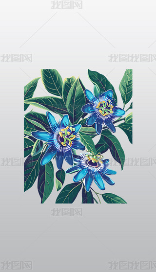 rG(x)(ji){(ln)ɫɏ⓸͸pngDƬز