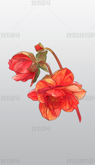 tɫʢ_Ļ⓸͸pngDƬز