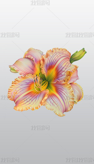 ʵʢ_(ki)Ļ⓸͸pngDƬز