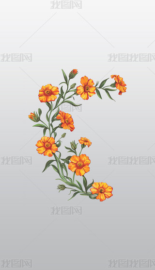 ɫʢ_(ki)Ļ⓸͸pngDƬز