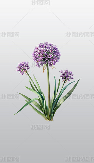 ɫʢ_Ļ⓸͸pngDƬز