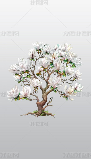 ʢ_Ļˇg(sh)m͸⓸pngز