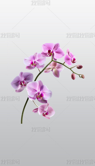 о»ɫm͸⓸pngDƬز