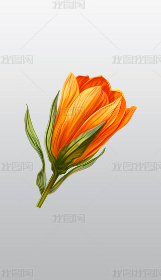 Mĳɫʢ_(ki)͸⓸pngDƬز