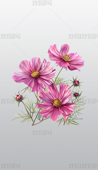 оGoķɫ仨͸⓸pngDƬز