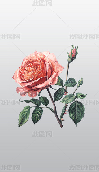 оGoķɫʢ_õ͸⓸pngDƬز