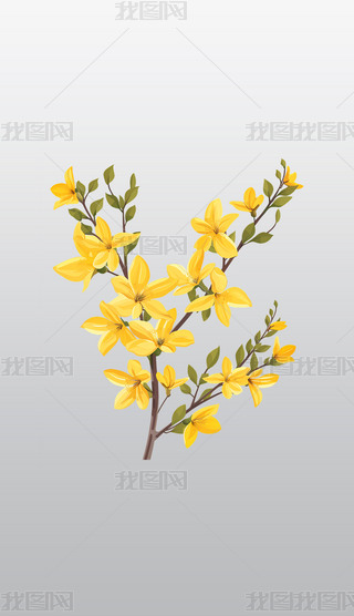 (sh)֦ϵSɫʢ_(ki)͸⓸pngDƬز